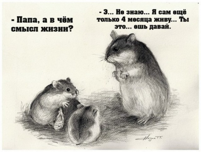 Картинки хз