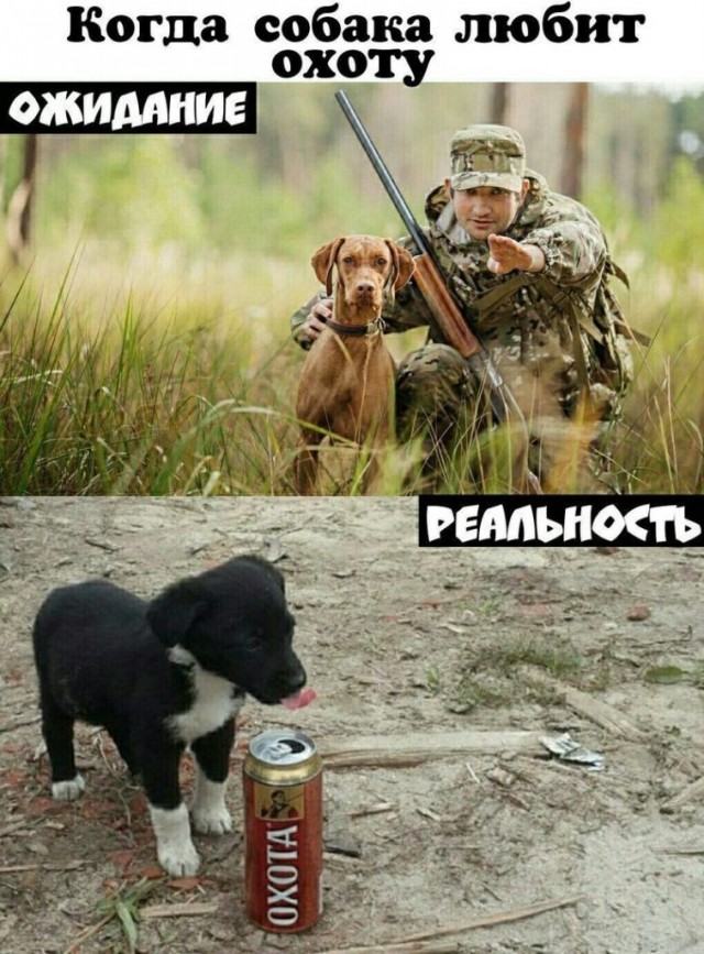 Каждый охотник желает знать...