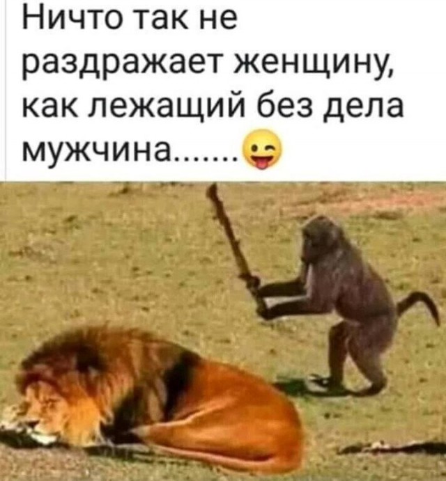 Картинки и мемы, всяко - 169
