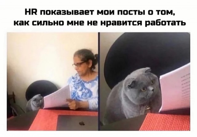 Про зарплату и работу, сравнение