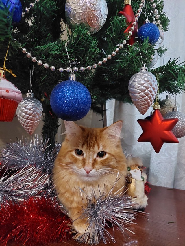 Нашли беглеца!