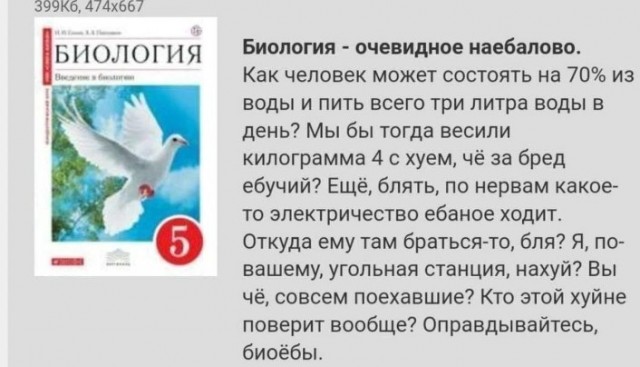 Всего понемногу. От 12.08