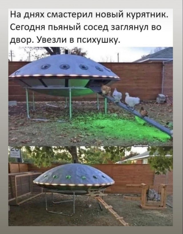 Весёлый полтишок 28.09.23