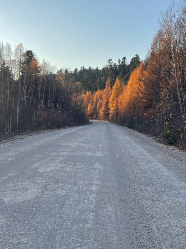 Осенняя рыбалка