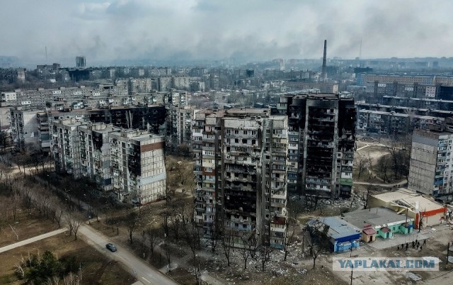 «Германия, у нас проблема!» Такой манифест опубликовало крупнейшее немецкое издание Bild
