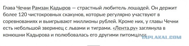 Налоговая начала выездную проверку Анастасии Ивлеевой. И грозит ей до 5 лет