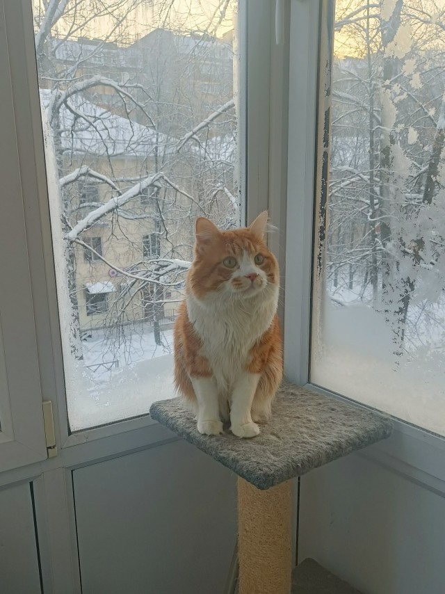 Здравствуйте, доброе утро