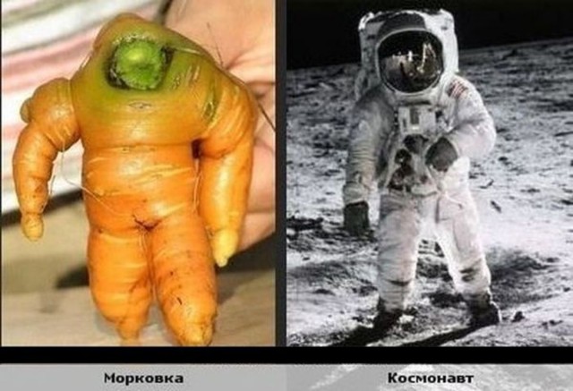 Прикольные и просто красивые картинки 12.04.2024