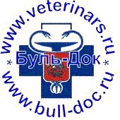 Инструкция для тех кого укусила собака (личный опыт)