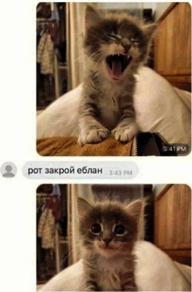 Всего понемногу. От 12.05.2024