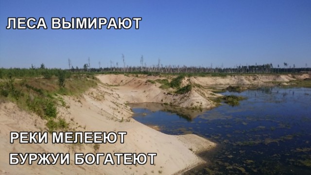 Свердловский депутат Госдумы Рябцева призвала рожать в 18-19 лет