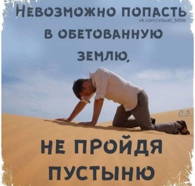Прикольные и просто красивые картинки 10.09.2024