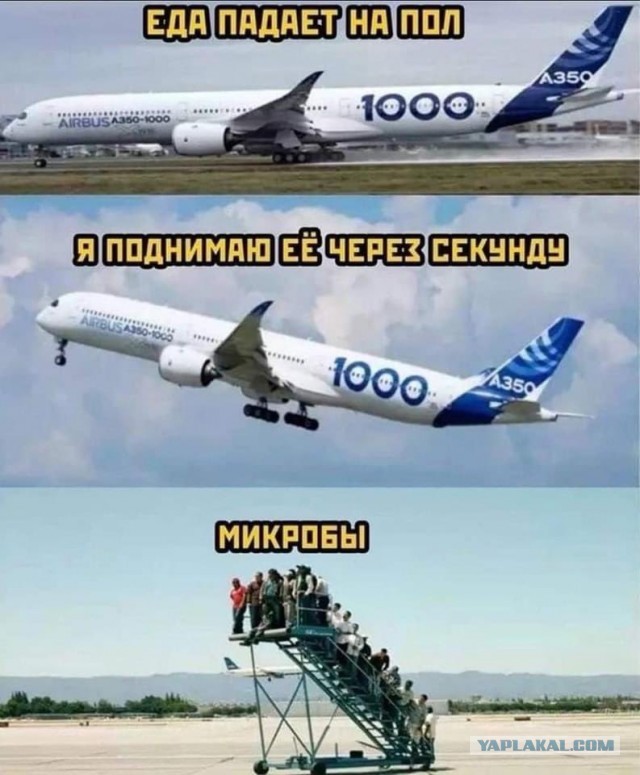 Сколько-то картинок