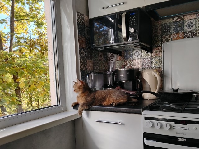 Нажрался и спит