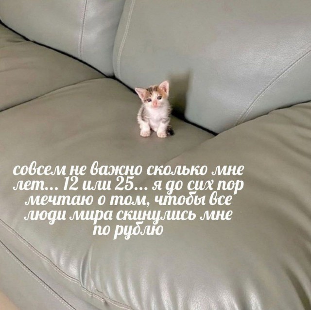 Нуштош 05.11.2024