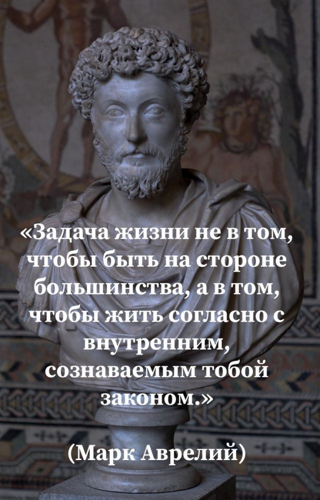 Прикольные и просто красивые картинки 28.01.2025