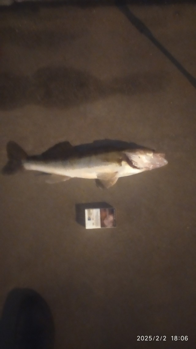 Вы рыбов прказываете