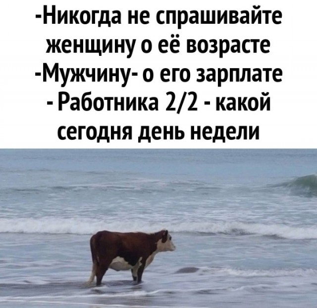 Всего понемногу. От 14.02.2025