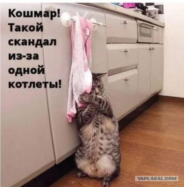 Мир Ассоциаций