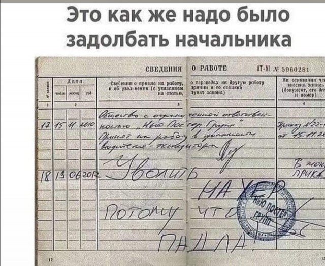 Так себе картинки 14.03.25