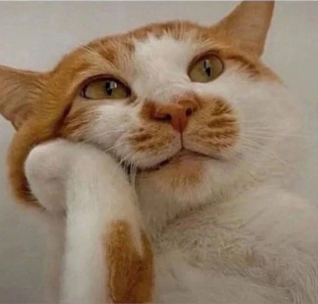 Так себе картинки 17.03.25