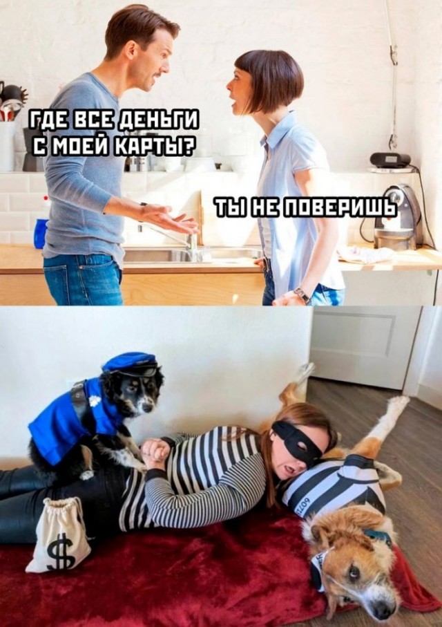 Веселые картинки в маленькую пятницу (09.04)