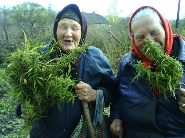 Прикольные и просто красивые картинки 13.05.2025
