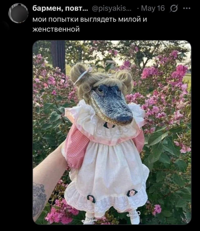 Завалялось тут случайно немного забавных картинок