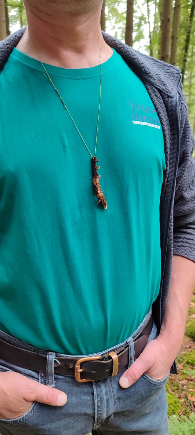 Зуб дракона