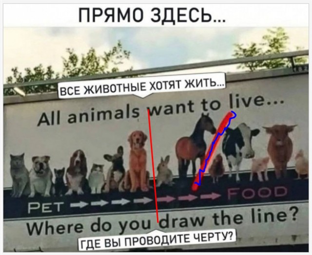 Немного картинок 31.07.25