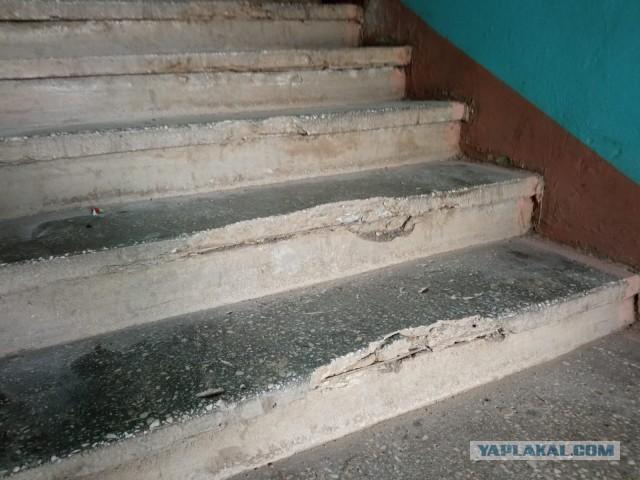 Нужна помощь ЯПа.