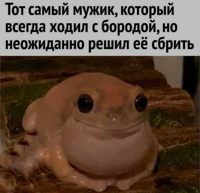 Ночная подборка ненормальных картинок !