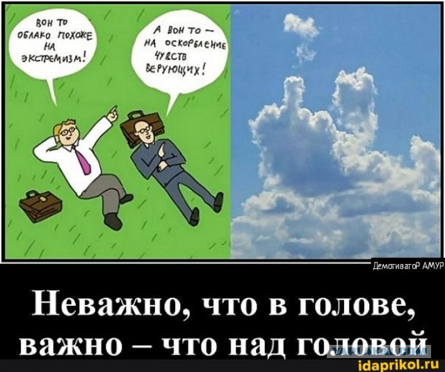 Француз отправил в нацсобрание 600 презервативов, чтобы депутаты «не размножались»