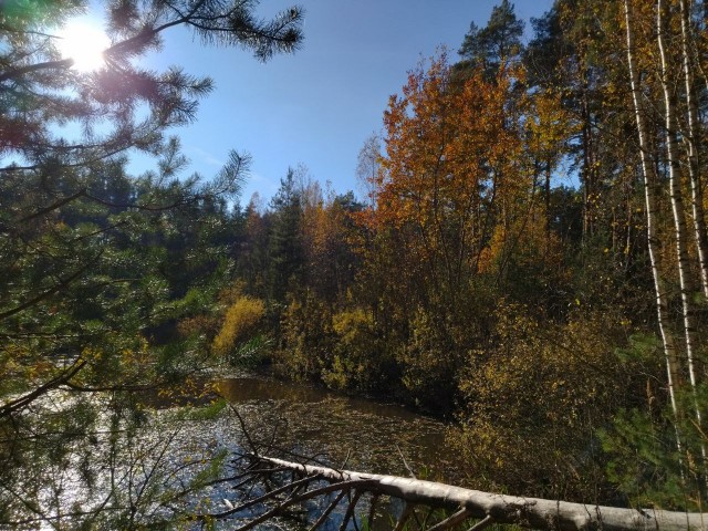 Клуб говорунов (литературный)