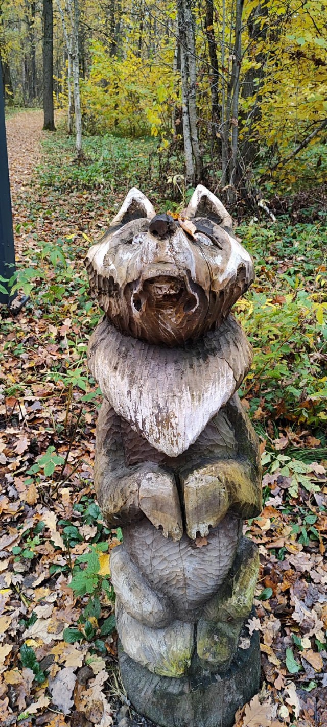 Ужасы нашего городка(с).