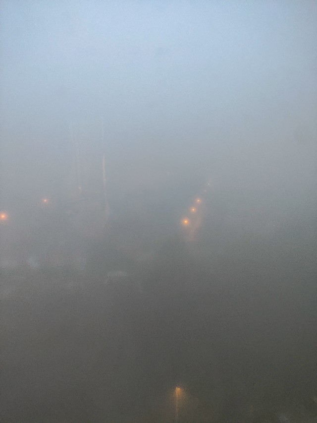 Красота