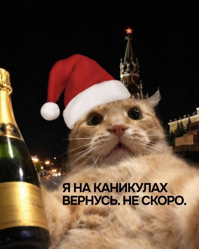 Так себе картинки 27.12.25
