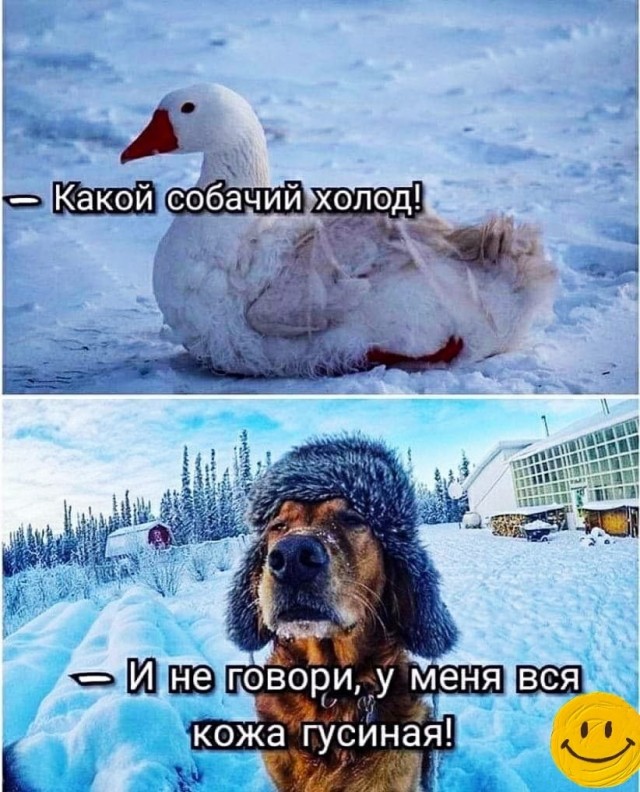Картинки для деградации 123 (разной степени свежести)