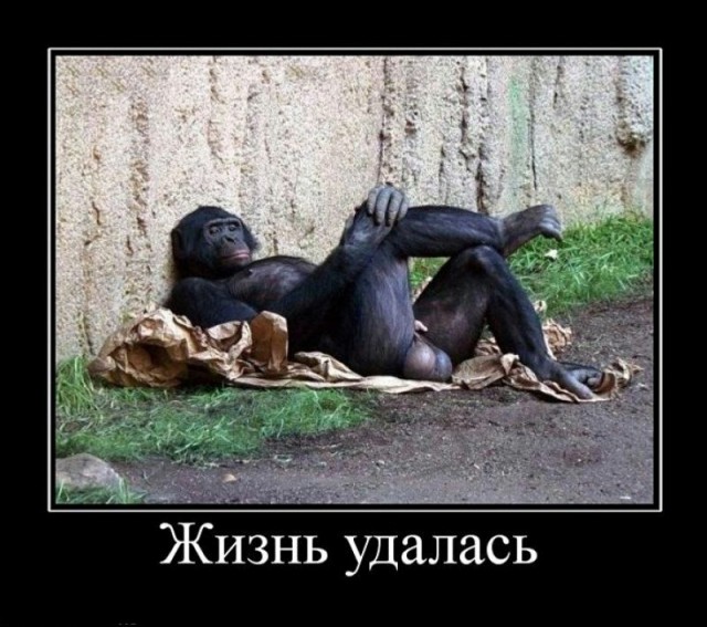 Не ЯПовец