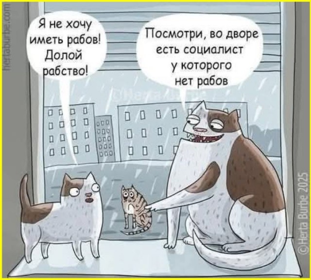 Пятничные тРРРидцать тРРРи от 29 мая