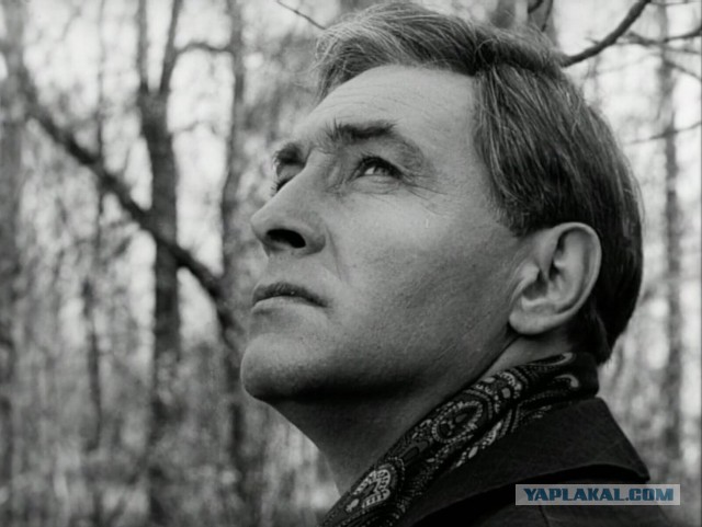 Жизнь прекрасна