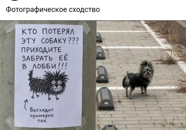 Картинки для деградации 261 (разной степени свежести)
