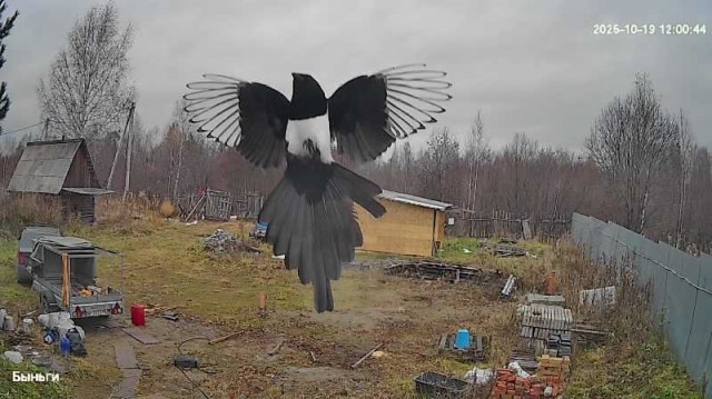 Вот и мне 50, стукнуло)))