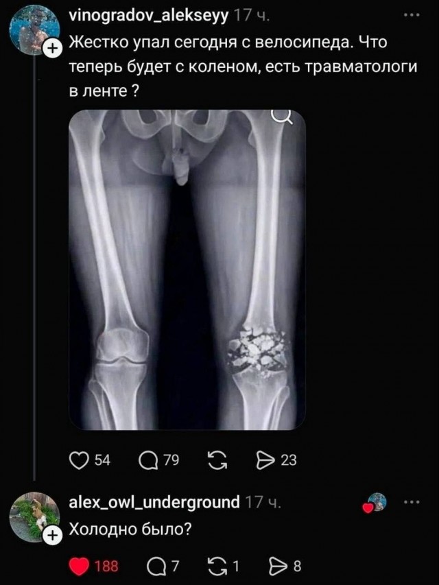 Картинке
