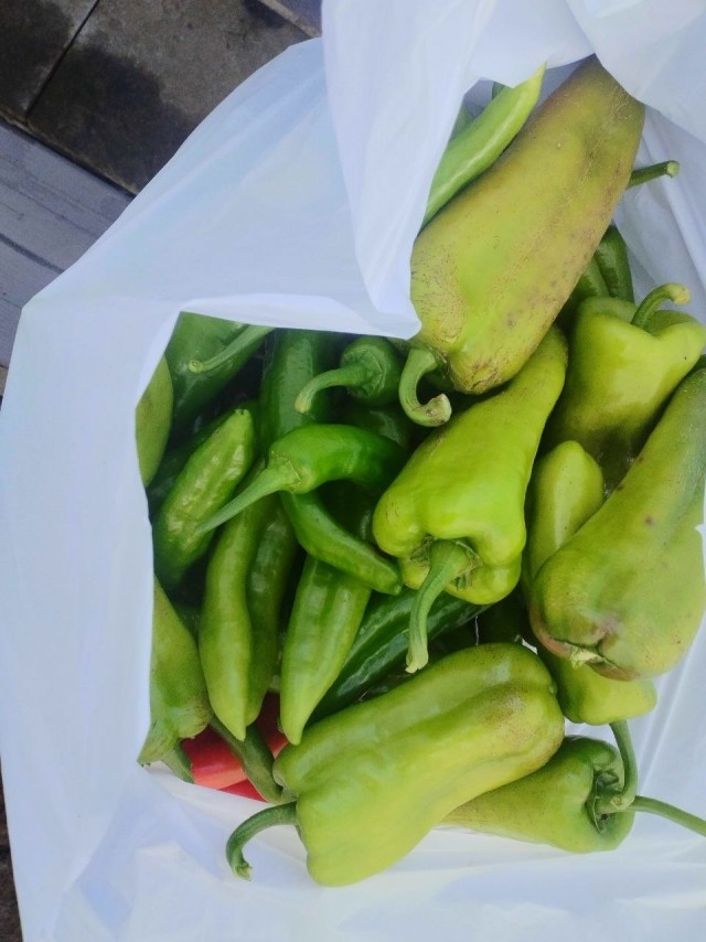 Продам урожай, рассаду, семенной фонд