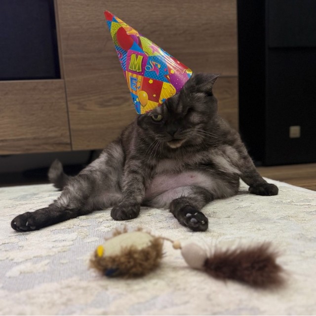 18 лет!