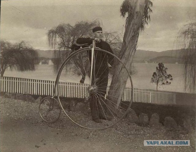 Краснодарская знаменитость