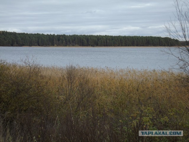 Одна поездка на озеро