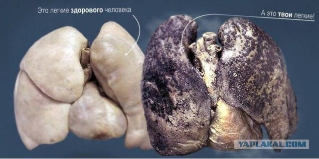 Миф о вреде курения