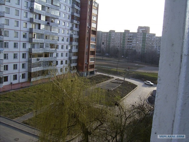 Вид из вашего окна